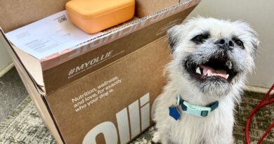 How Much Does Ollie Fresh Dog Food Cost? 2024 Price Guide – Dogster