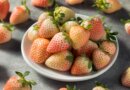 Can Dogs Eat Pineberries? Vet-Reviewed Facts & FAQ  – Dogster